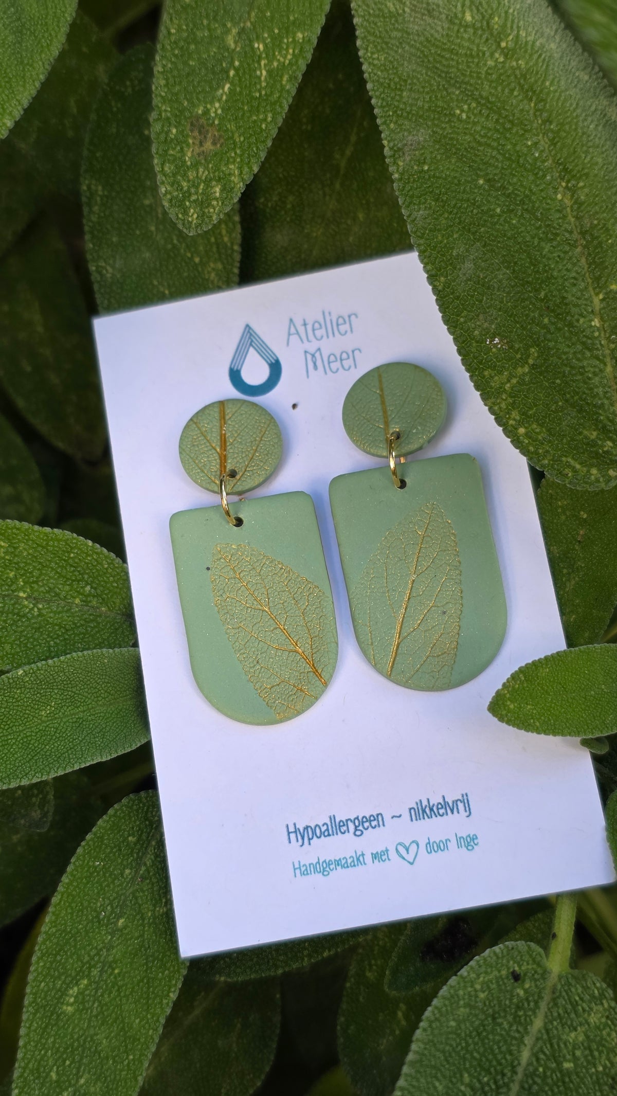 Saliegroene oorbellen met blad in gouddetail | model Tore