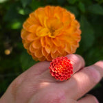 Ring Dahlia zalmroze ~ verstelbare ring uit stainless steel met klei