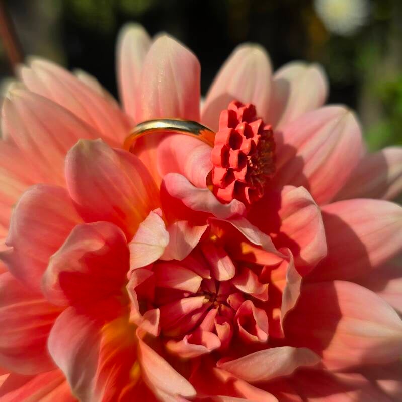 Ring Dahlia zalmroze ~ verstelbare ring uit stainless steel met klei