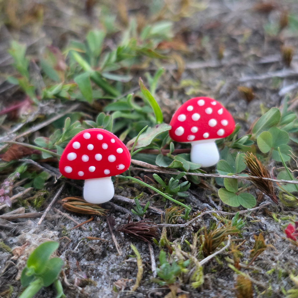 Oorstekers paddenstoel ~ vliegenzwam studs