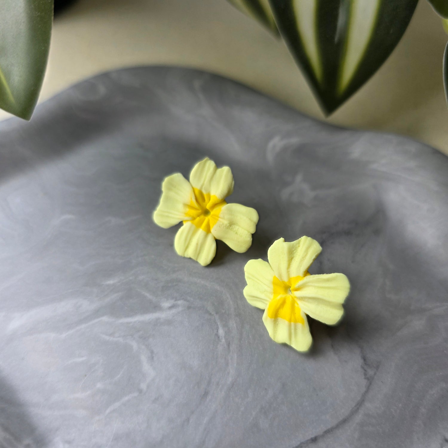 Oorstekers teunisbloem in lichtgeel